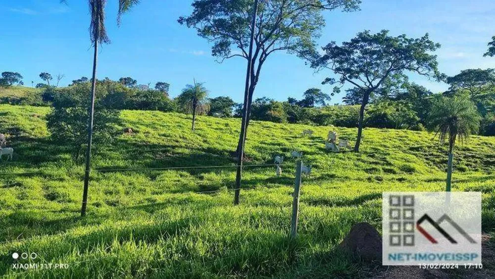 Fazenda, 532 hectares - Foto 2