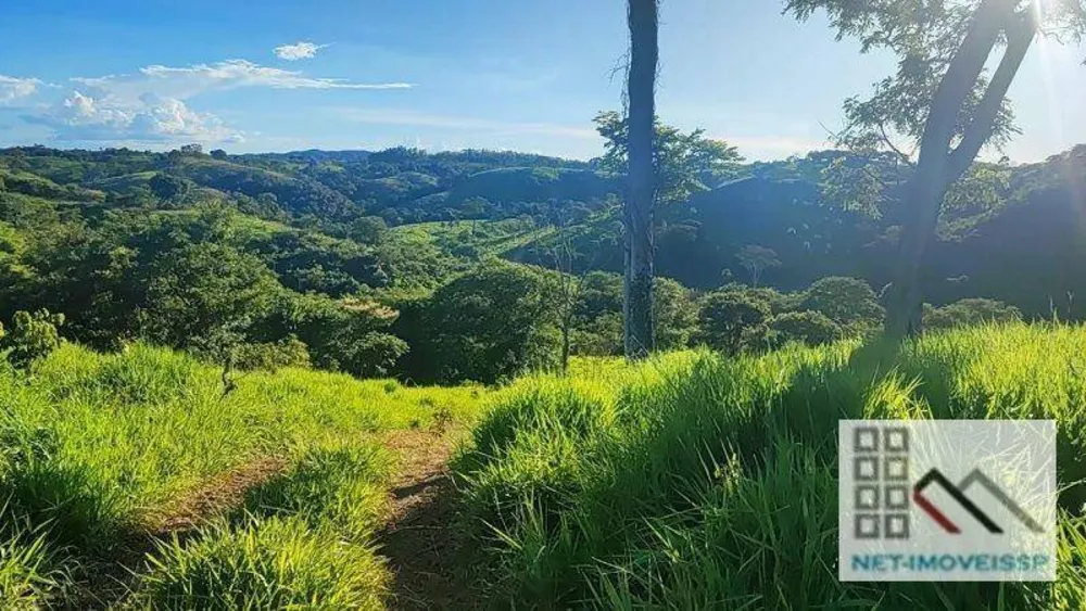 Fazenda, 532 hectares - Foto 9
