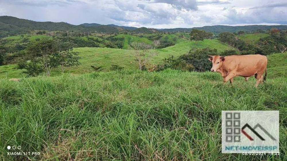 Fazenda, 532 hectares - Foto 11