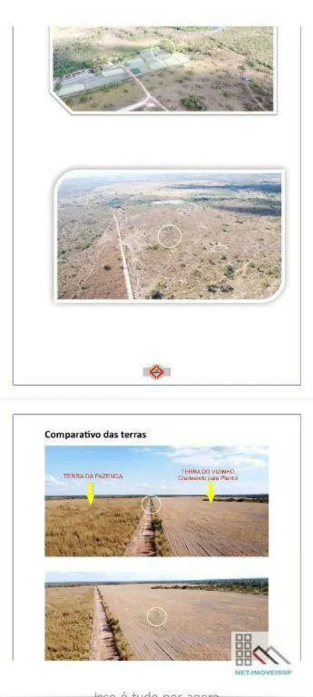 Fazenda, 353 hectares - Foto 3