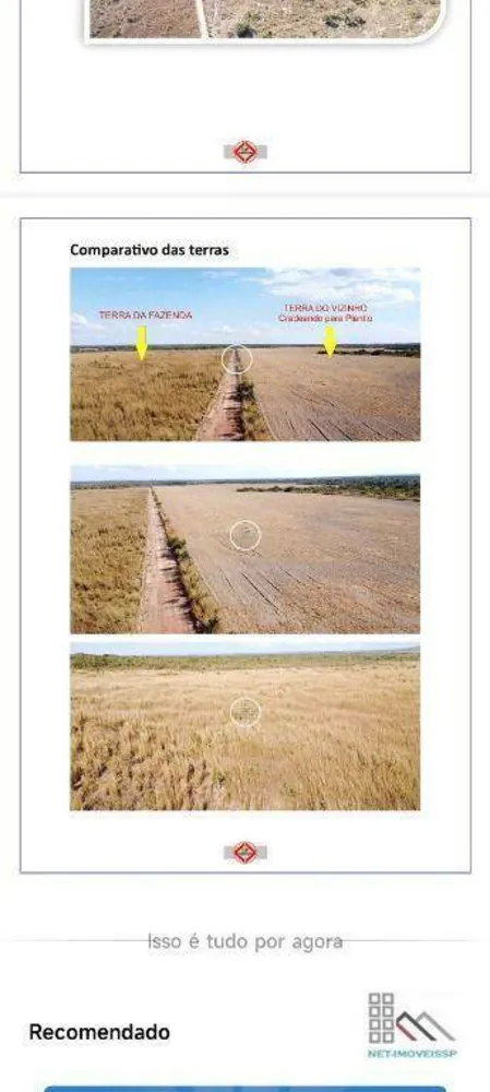Fazenda, 353 hectares - Foto 4