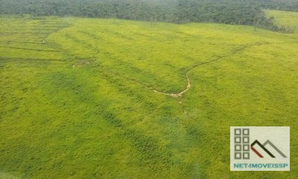 Fazenda, 27000 hectares - Foto 9