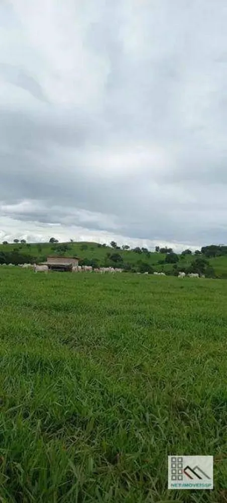 Fazenda, 614 hectares - Foto 5