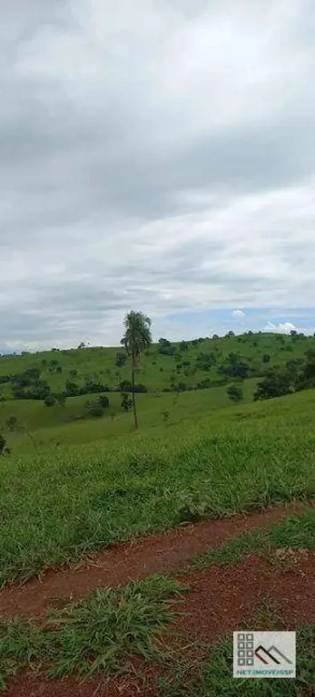 Fazenda, 614 hectares - Foto 12