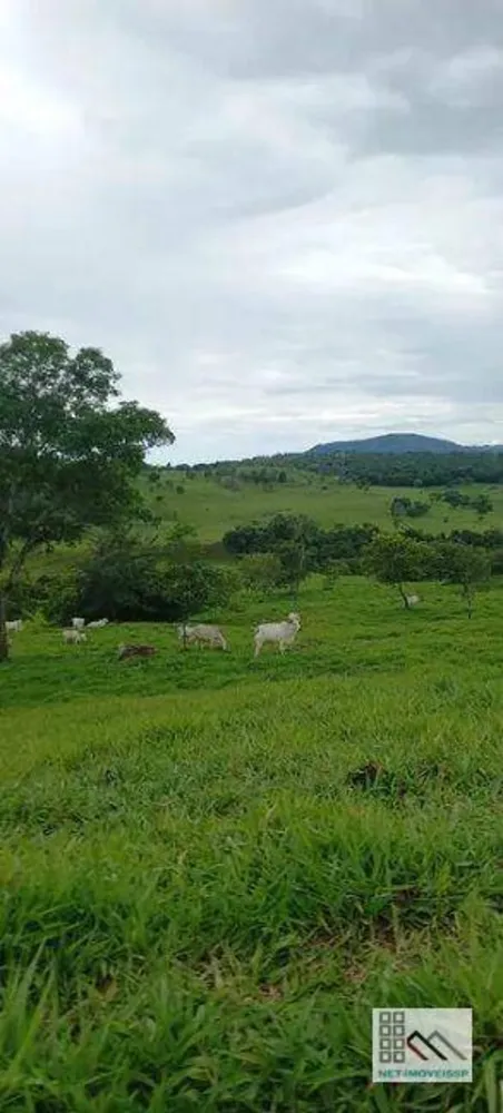 Fazenda, 614 hectares - Foto 10