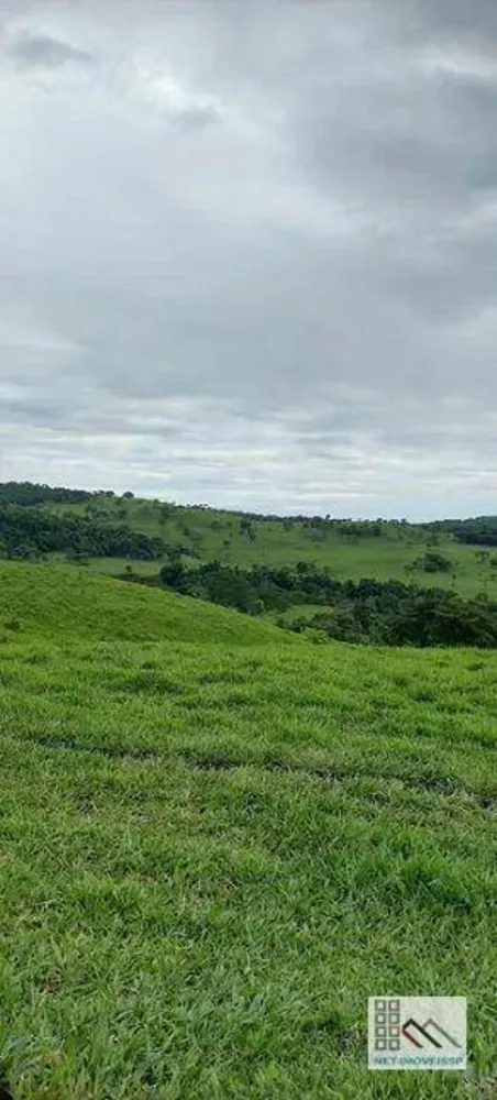 Fazenda, 614 hectares - Foto 2