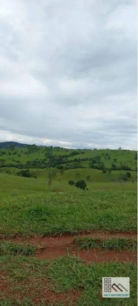 Fazenda, 614 hectares - Foto 8