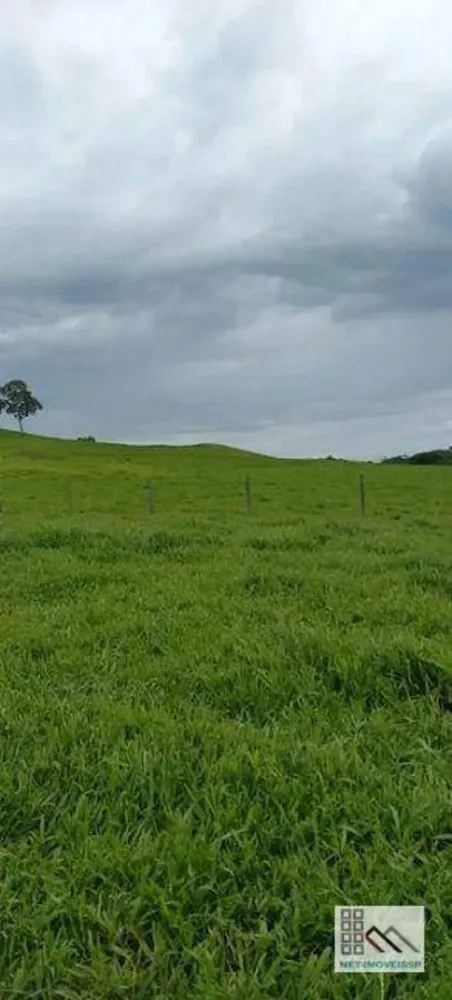 Fazenda, 614 hectares - Foto 11