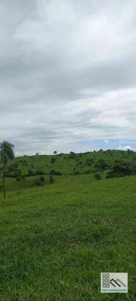 Fazenda, 614 hectares - Foto 9