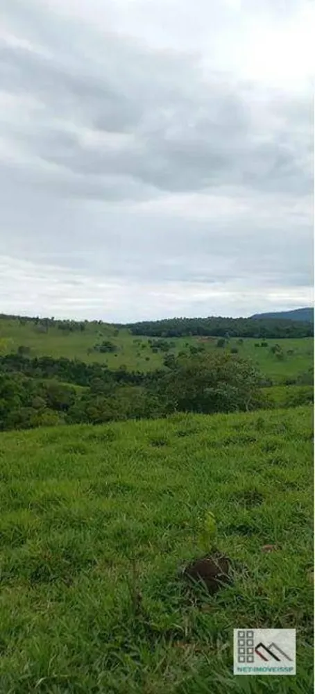 Fazenda, 614 hectares - Foto 6