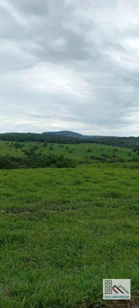 Fazenda, 614 hectares - Foto 4