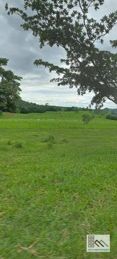 Fazenda, 614 hectares - Foto 3