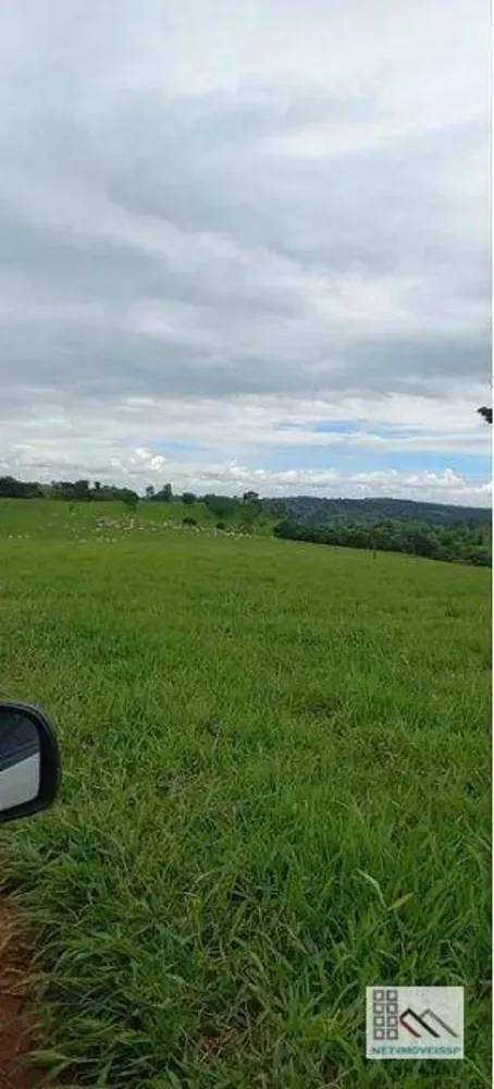 Fazenda, 614 hectares - Foto 1