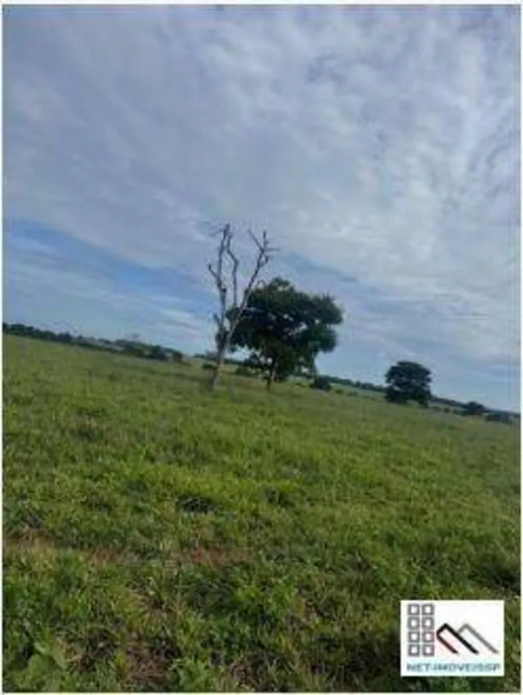 Fazenda, 22 m² - Foto 5