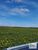 Fazenda-Sítio-Chácara, 847 hectares - Foto 18