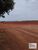 Fazenda-Sítio-Chácara, 847 hectares - Foto 10