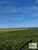 Fazenda, 847 hectares - Foto 2