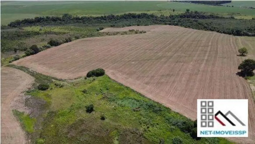 Fazenda, 284 hectares - Foto 2