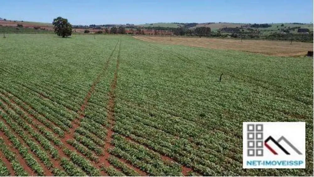 Fazenda, 284 hectares - Foto 3