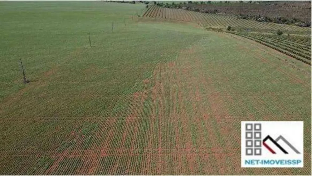Fazenda, 284 hectares - Foto 10