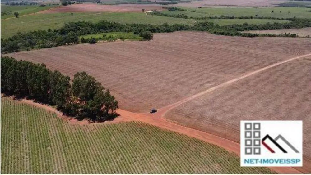 Fazenda, 284 hectares - Foto 6