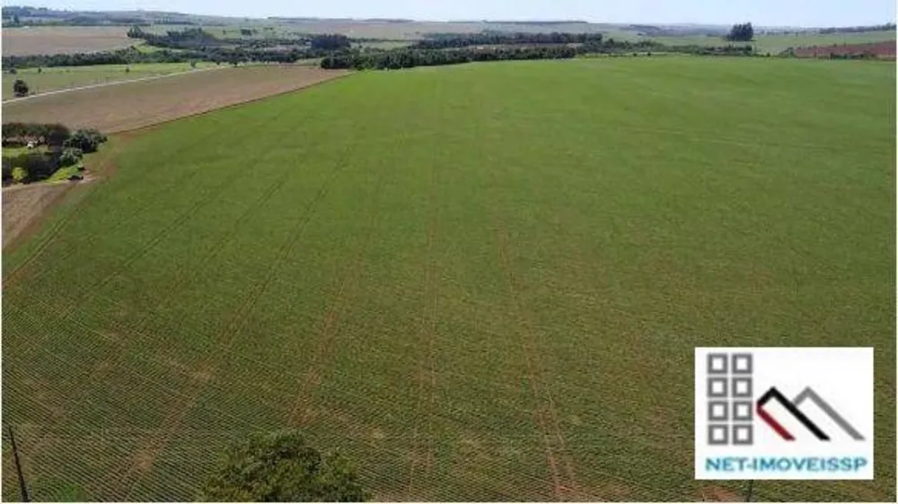 Fazenda, 284 hectares - Foto 7
