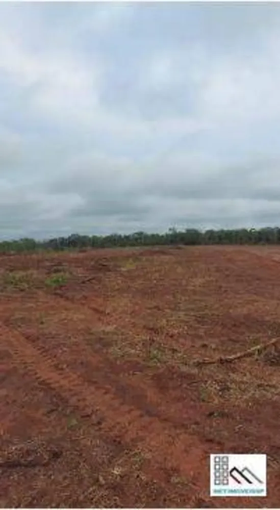 Fazenda, 5076 hectares - Foto 6