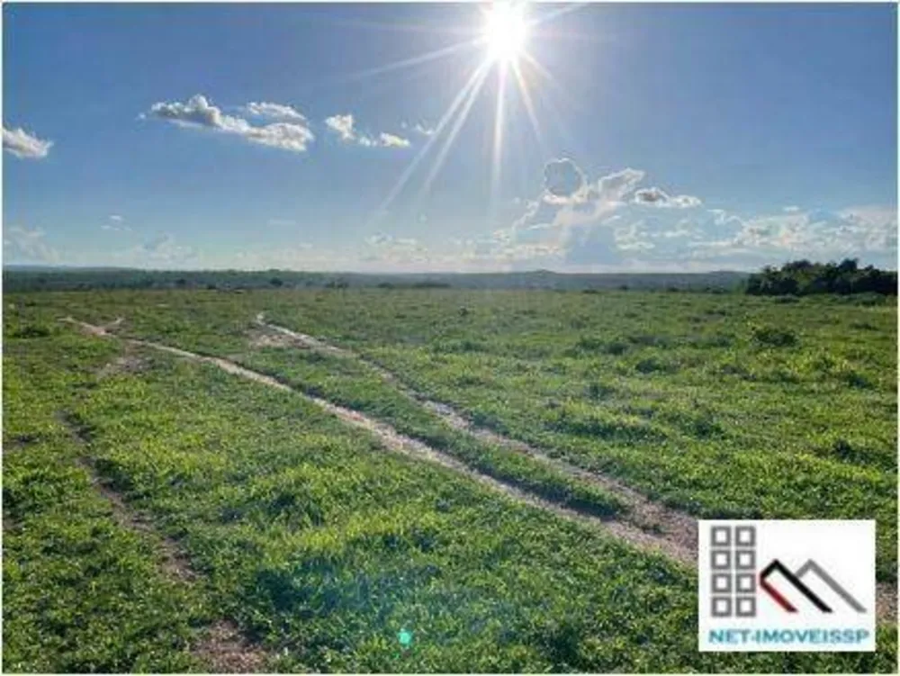 Fazenda, 1752 hectares - Foto 4