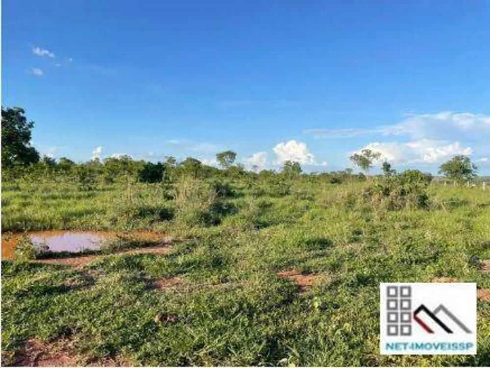 Fazenda, 1752 hectares - Foto 12