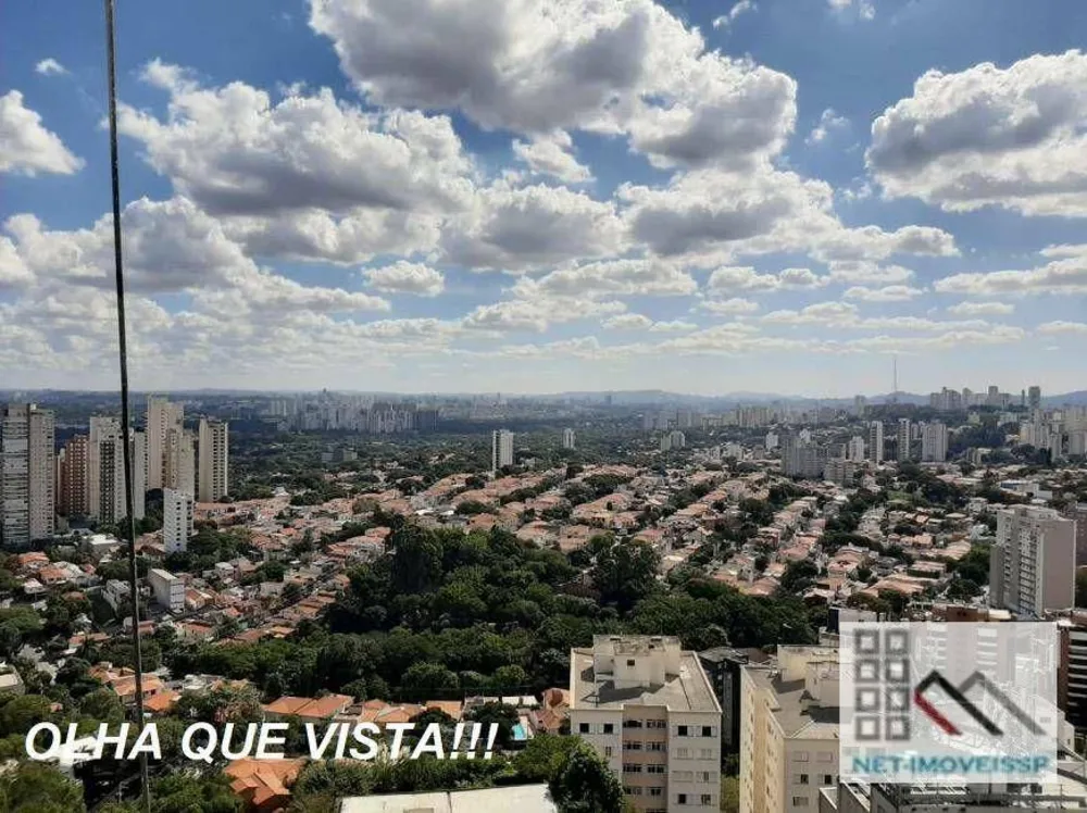 Apartamento, 4 quartos, 275 m² - Foto 11