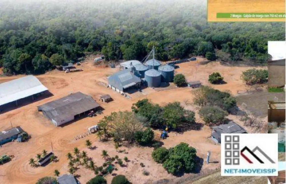 Fazenda, 5000 hectares - Foto 4