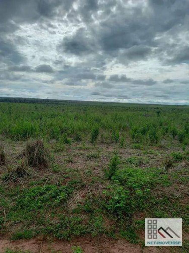 Fazenda-Sítio-Chácara, 8880 hectares - Foto 1