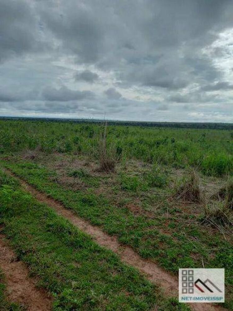 Fazenda-Sítio-Chácara, 8880 hectares - Foto 3