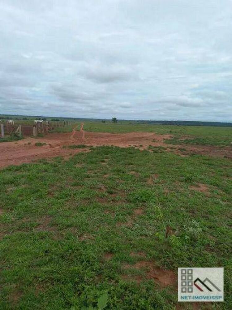 Fazenda-Sítio-Chácara, 8880 hectares - Foto 5