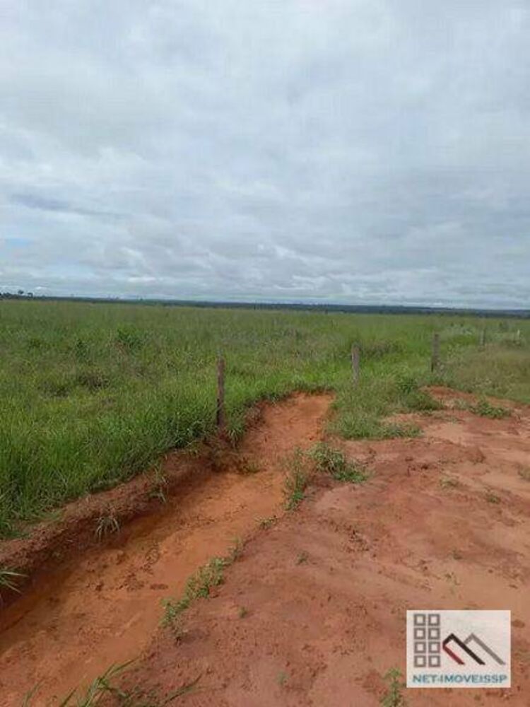 Fazenda-Sítio-Chácara, 8880 hectares - Foto 2