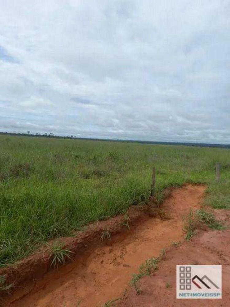Fazenda-Sítio-Chácara, 8880 hectares - Foto 4