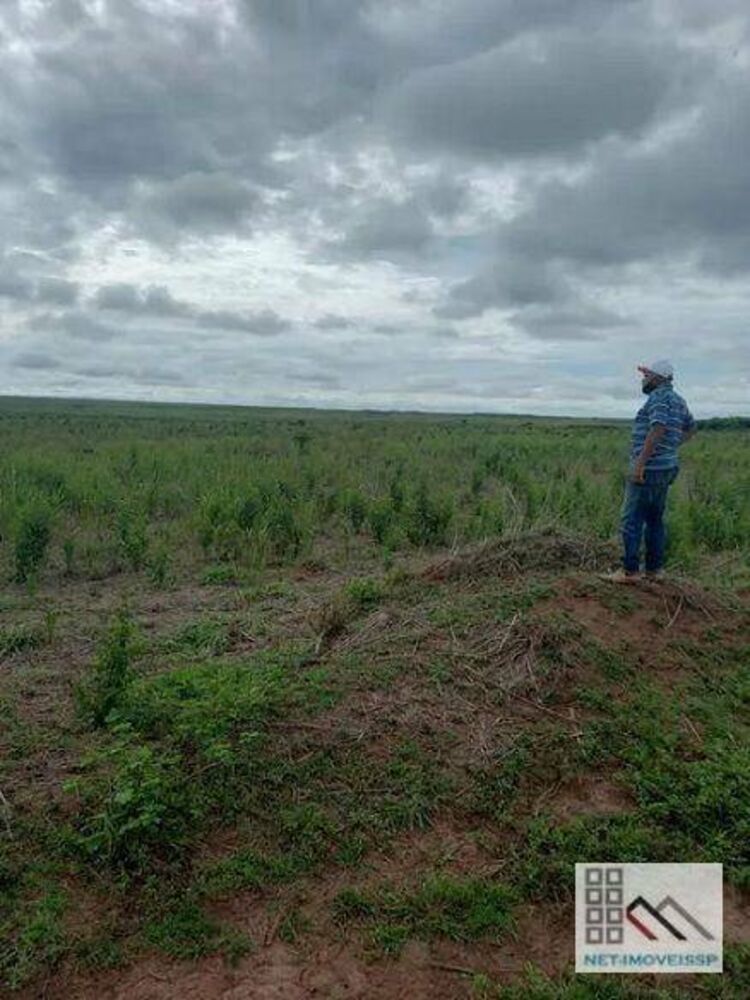 Fazenda-Sítio-Chácara, 8880 hectares - Foto 6