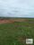 Fazenda, 8880 hectares - Foto 5