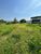 Terreno, 286 m² - Foto 2