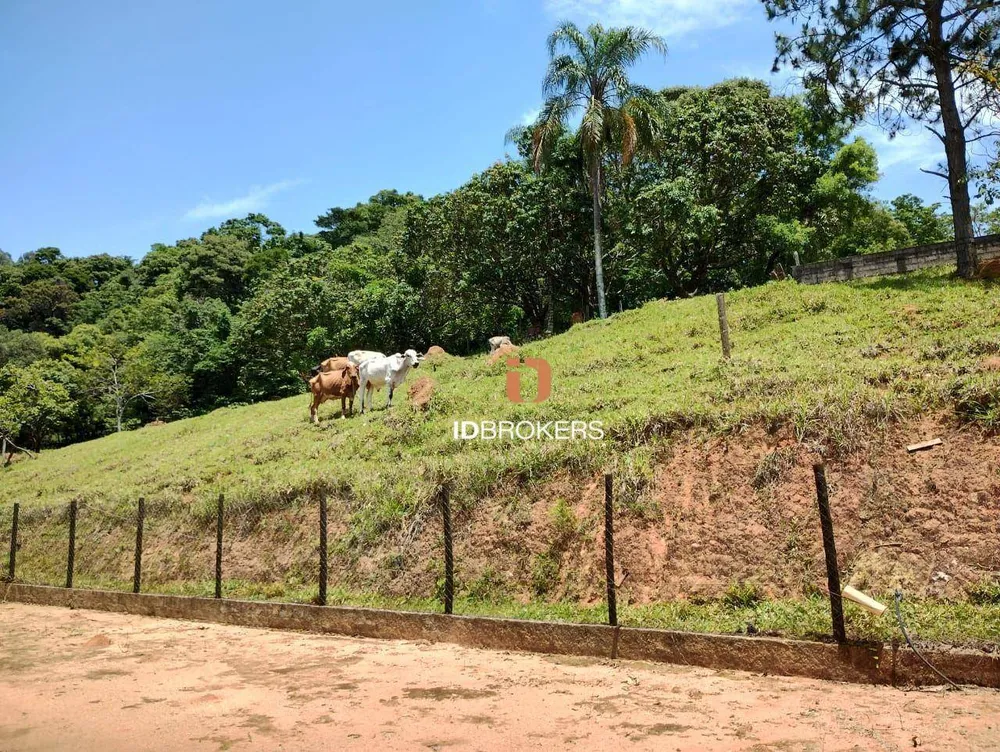 Chácara, 4 quartos, 25 hectares - Foto 6