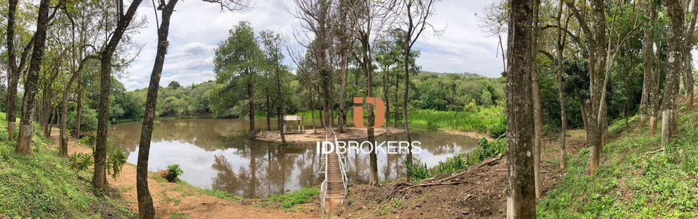 Chácara, 4 quartos, 25 hectares - Foto 3