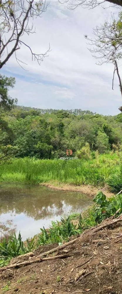 Chácara, 4 quartos, 25 hectares - Foto 2