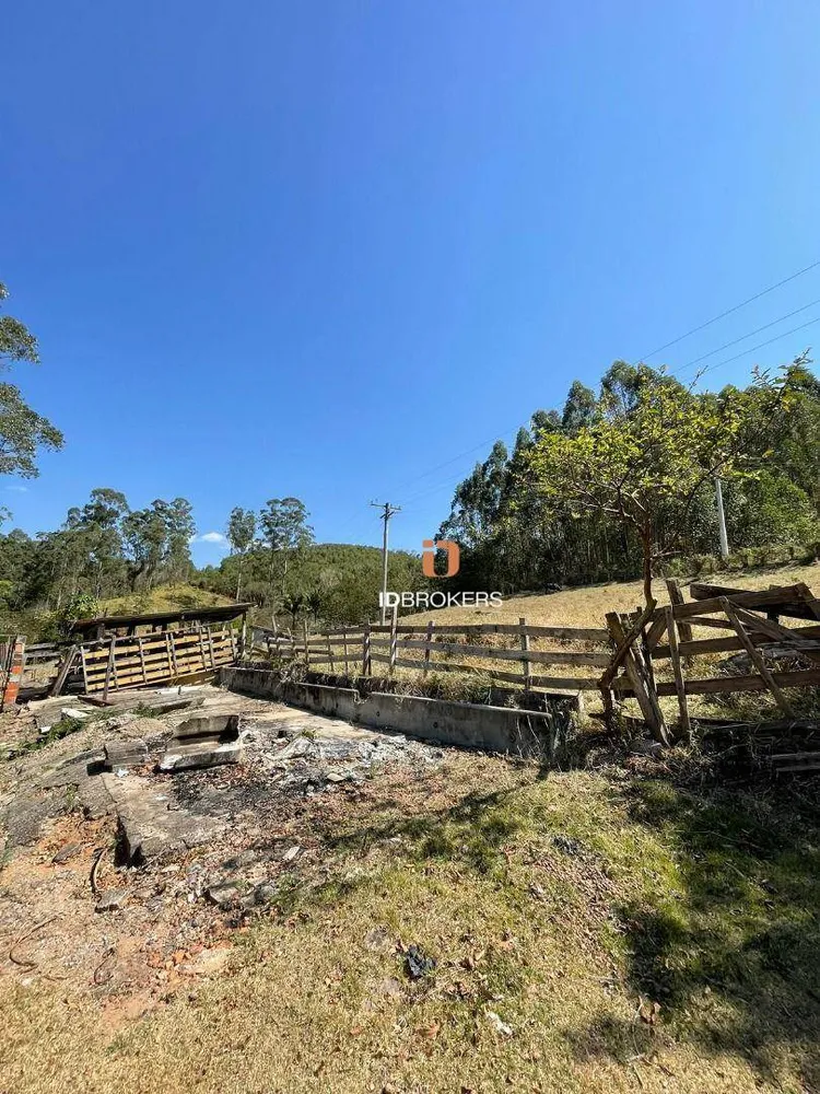Chácara, 5 quartos, 2 hectares - Foto 7