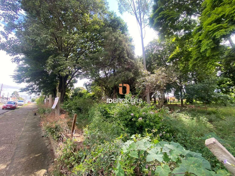 Terreno, 340 m² - Foto 6
