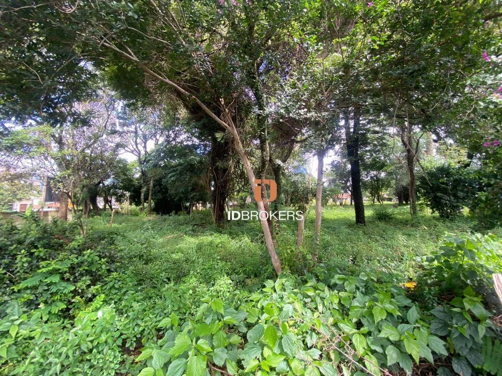 Terreno, 340 m² - Foto 10