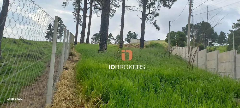 Terreno, 800 m² - Foto 4