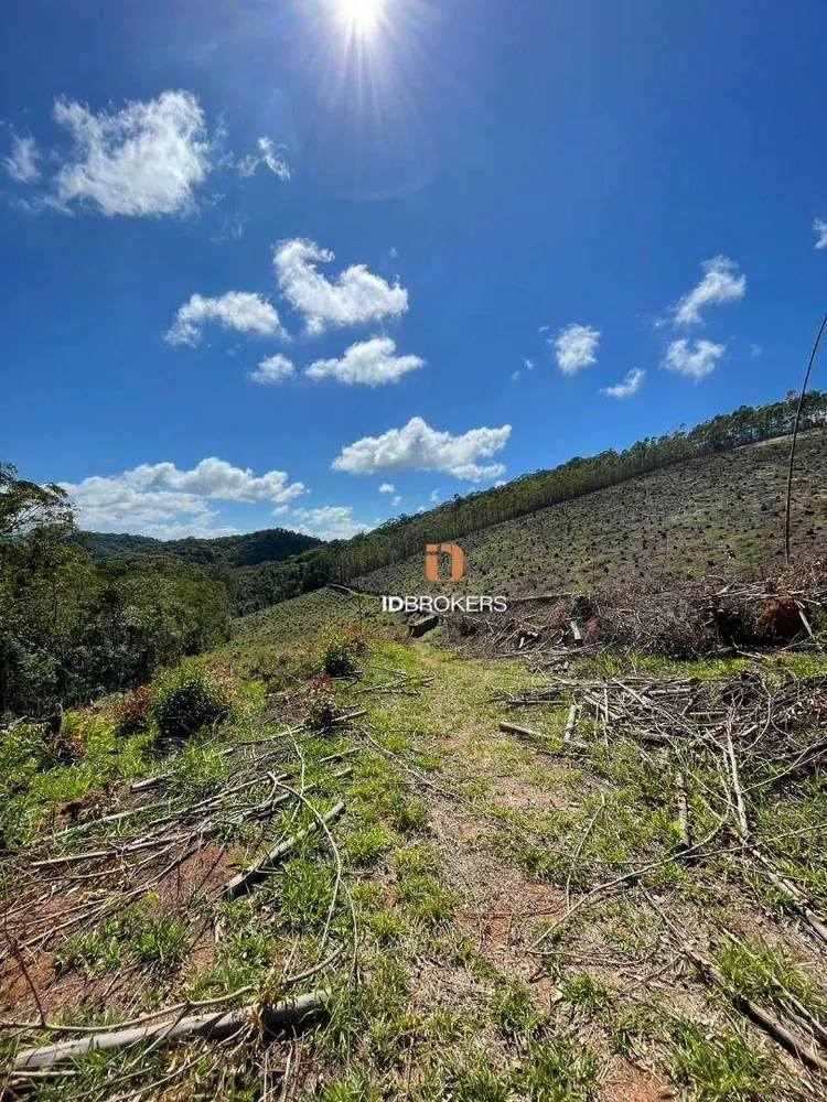 Terreno, 21 hectares - Foto 6