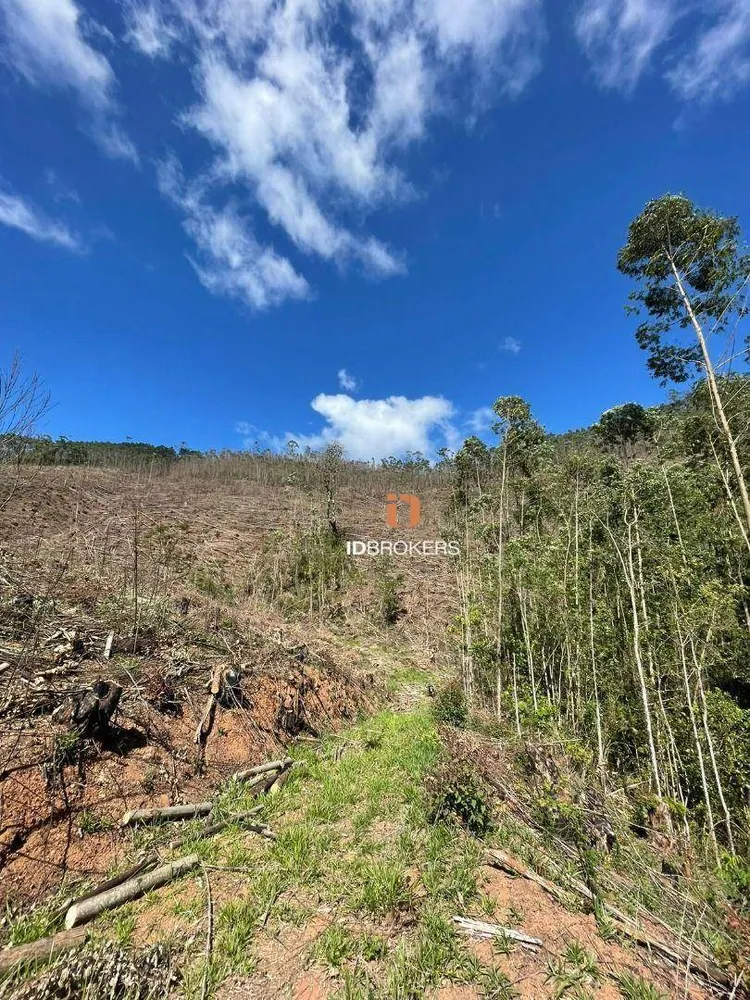 Terreno, 21 hectares - Foto 7
