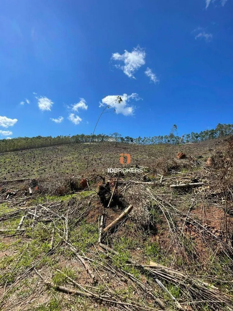 Terreno, 21 hectares - Foto 1
