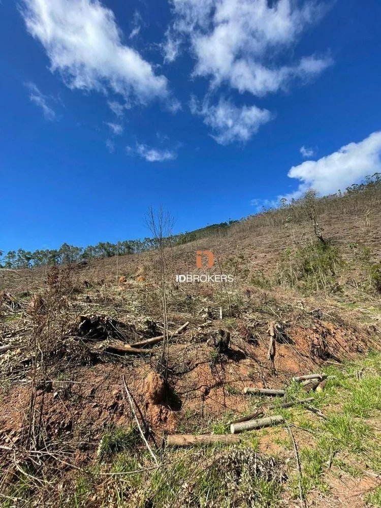 Terreno, 21 hectares - Foto 8